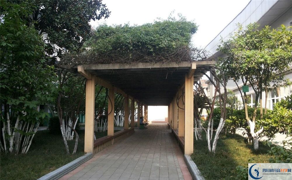 通錦中學(xué)高中歷年來(lái)的分?jǐn)?shù)線(xiàn)是多少分？