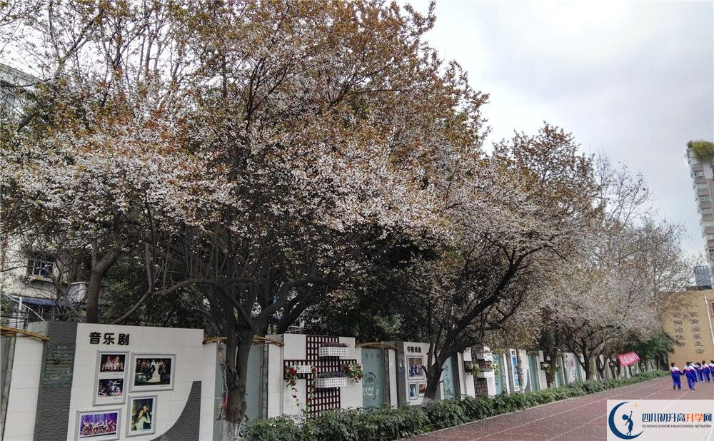 成都大學附屬中學的高一會分班嗎？