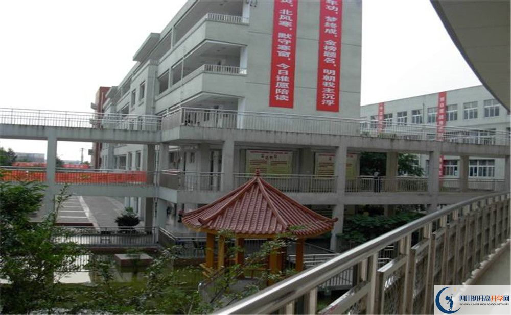成都市龍泉中學2020年清華北大人數(shù)是多少？					
