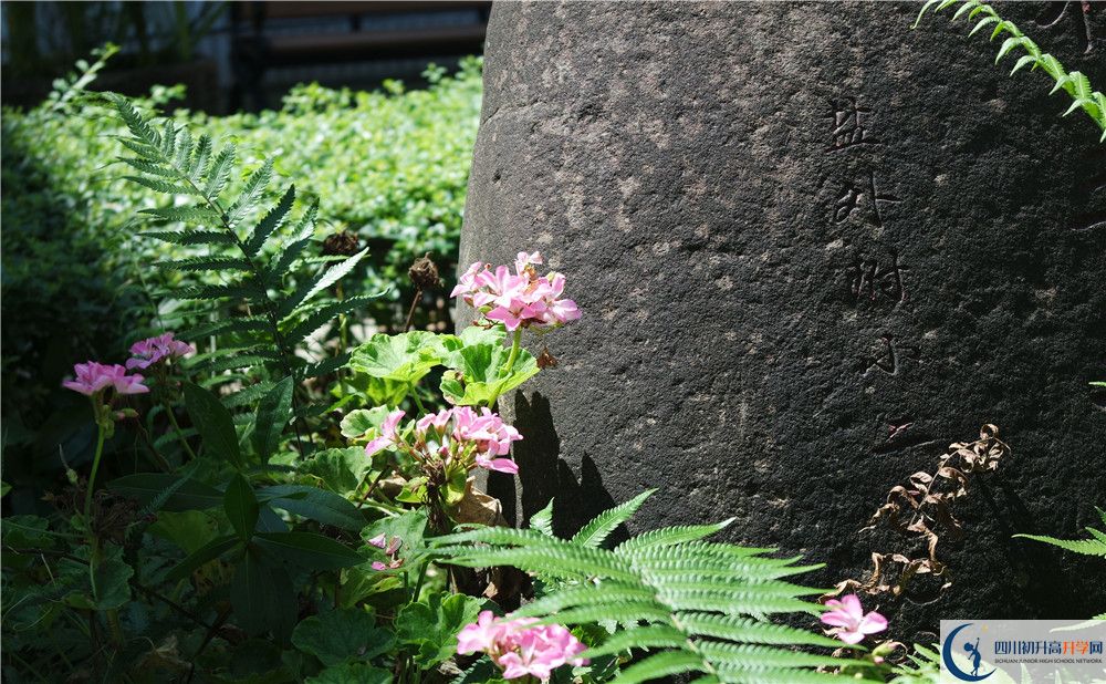 石室聯(lián)合中學(xué)蜀華分校住宿費(fèi)用是多少？