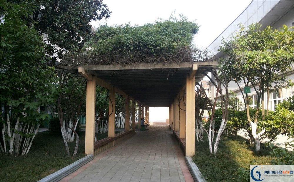 通錦中學(xué)2020年清華北大錄取學(xué)生有多少？