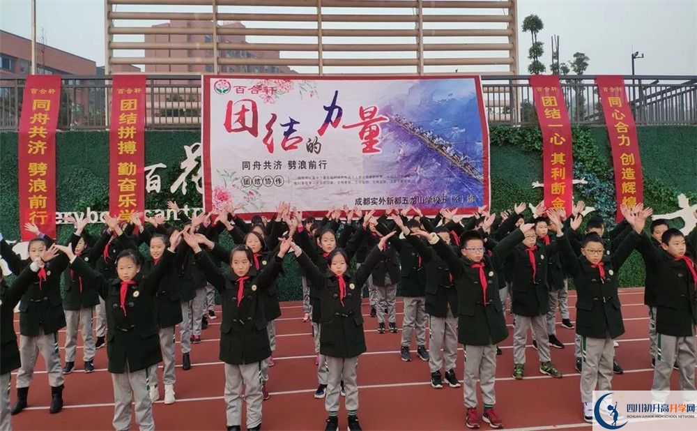 成都實外新都五龍山學(xué)校2020清華北大錄取學(xué)生是多少？