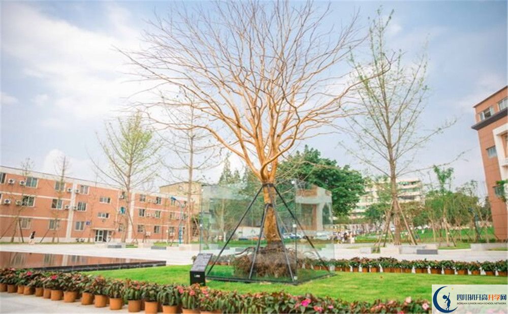 新格林藝術(shù)高級中學校2020年清華北大錄取學生有多少？
