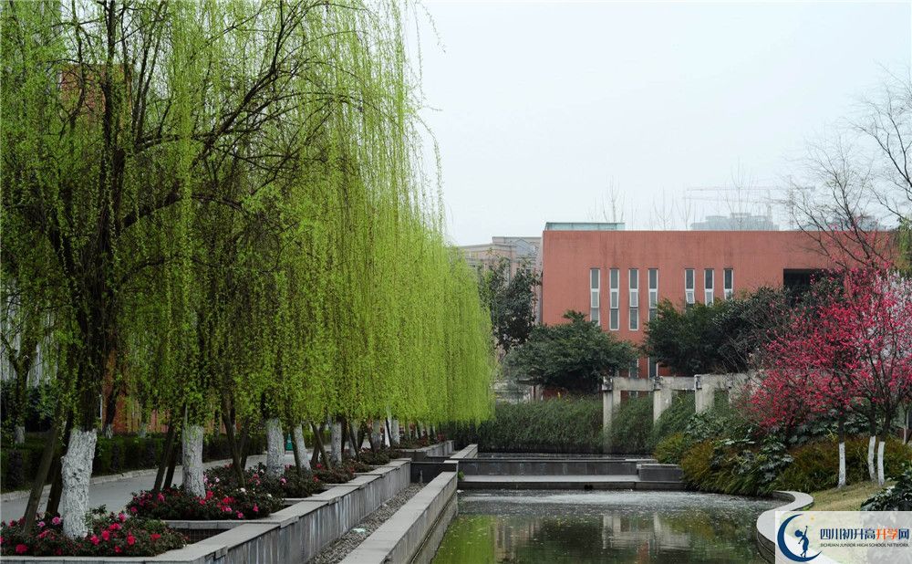 香城中學(xué)自主招生條件是什么？
