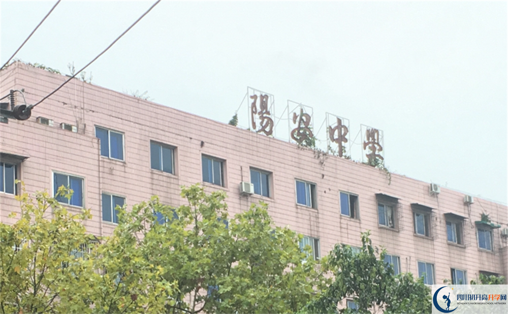 陽(yáng)安中學(xué)初升高難不難？