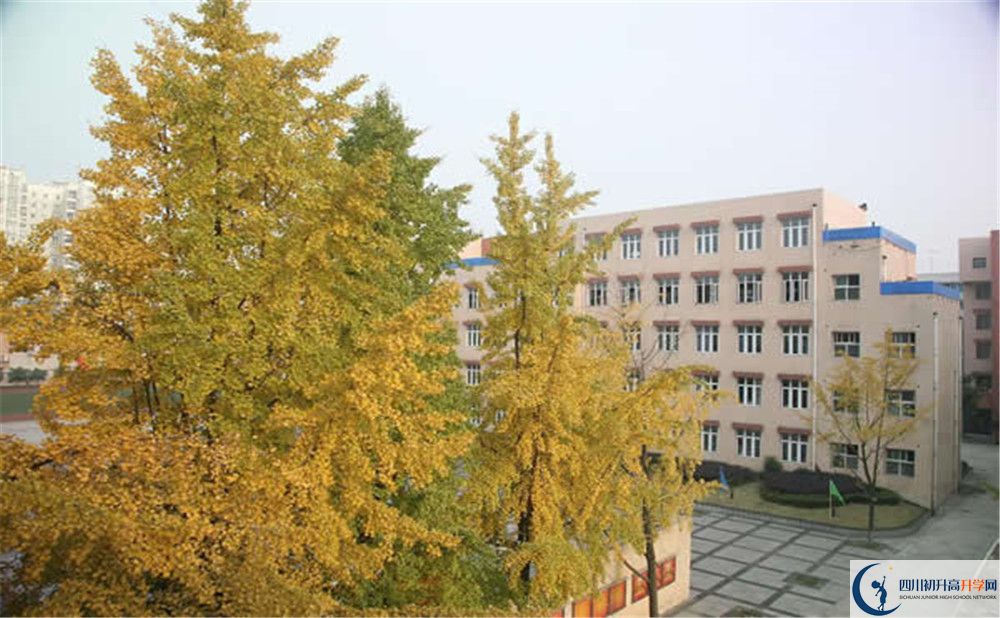 成都西藏中學是私立還是公立學校？