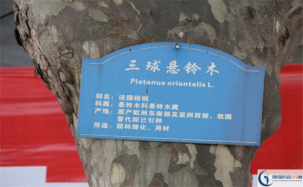 2020成都市第四十九中學(xué)高考重點(diǎn)大學(xué)升學(xué)率高嗎？
