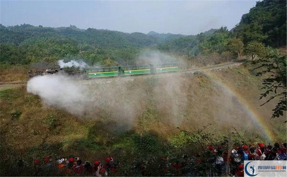 成都市泡桐樹中學(xué)國際班費用是多少？
