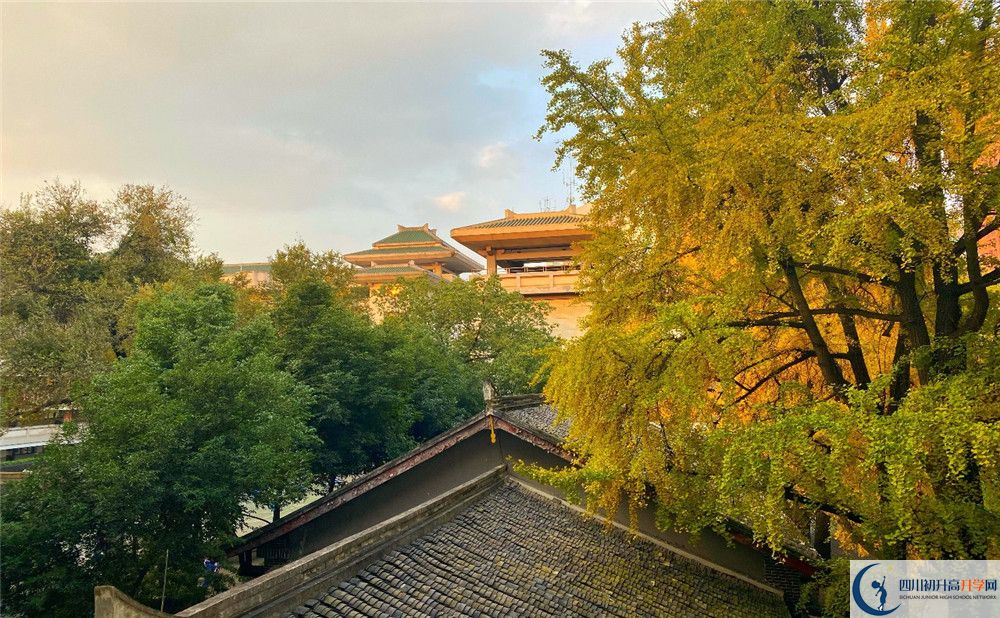 成都市泡桐樹中學平行班與實驗班差多少？