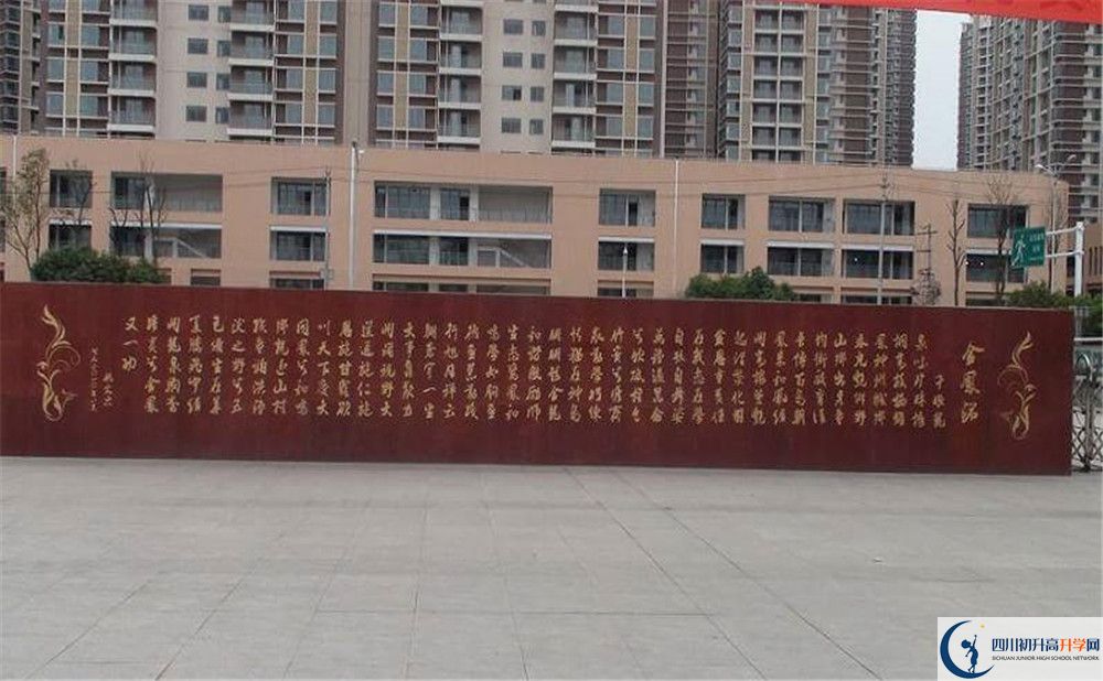 成都經(jīng)濟(jì)技術(shù)開發(fā)區(qū)實(shí)驗(yàn)中學(xué)2020年全國(guó)排名是多少？