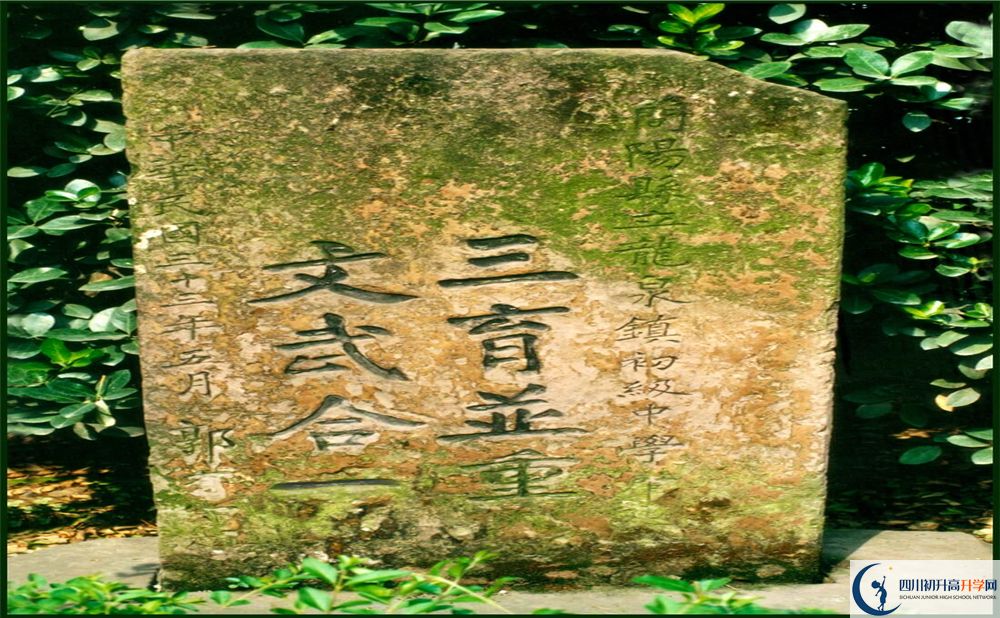 2020成都市龍泉中學(xué)期末試卷數(shù)學(xué)在哪看？