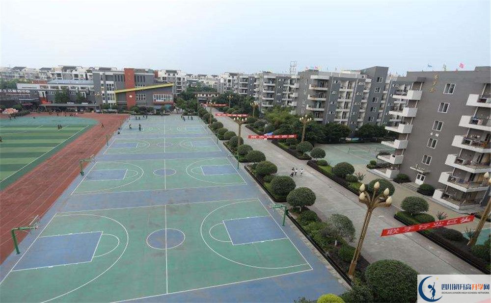 大彎中學在全國高中排名是多少？