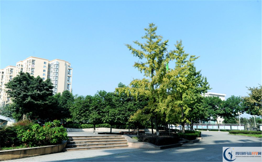 2020成都棠湖外國(guó)語(yǔ)學(xué)校期末試卷數(shù)學(xué)在哪里看？