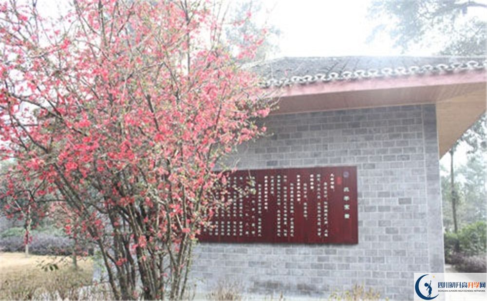 彭州中學(xué)高中平行班怎么樣？