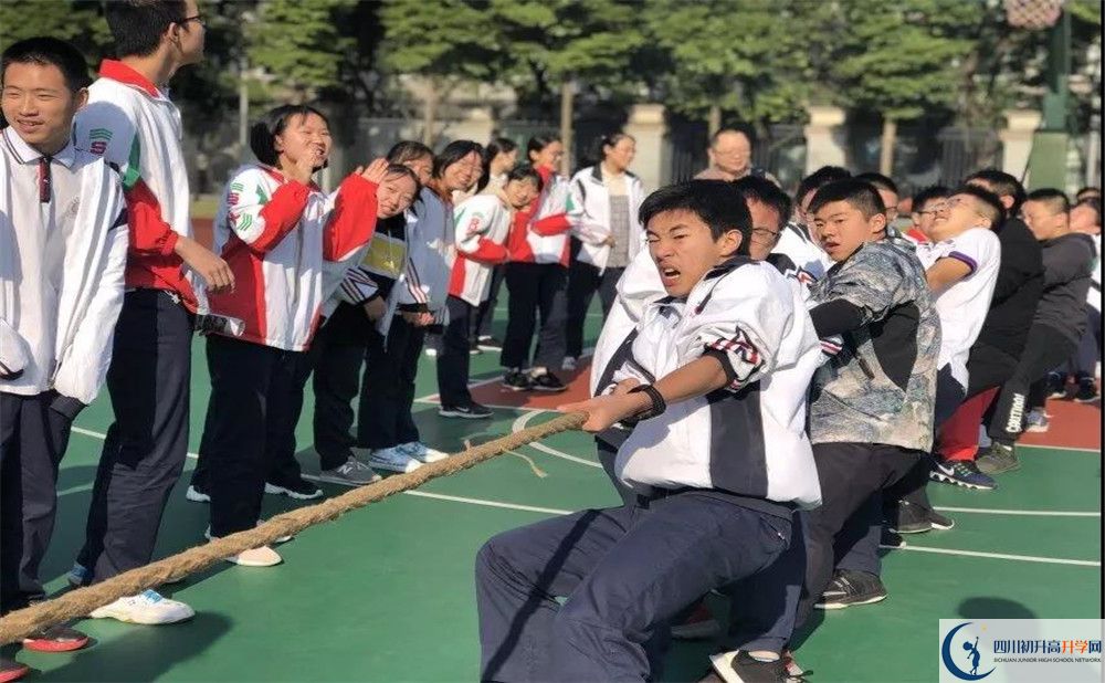 成都樹德中學(xué)面向全國招生嗎？