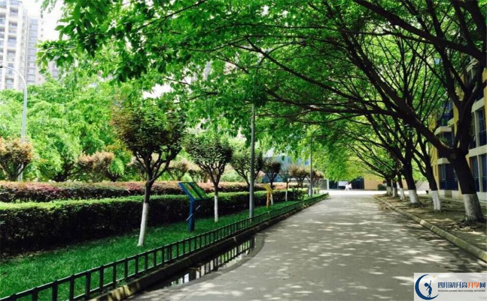 成都七中實(shí)驗(yàn)學(xué)校高2020屆高三階段檢測(cè)試題語(yǔ)文難嗎？