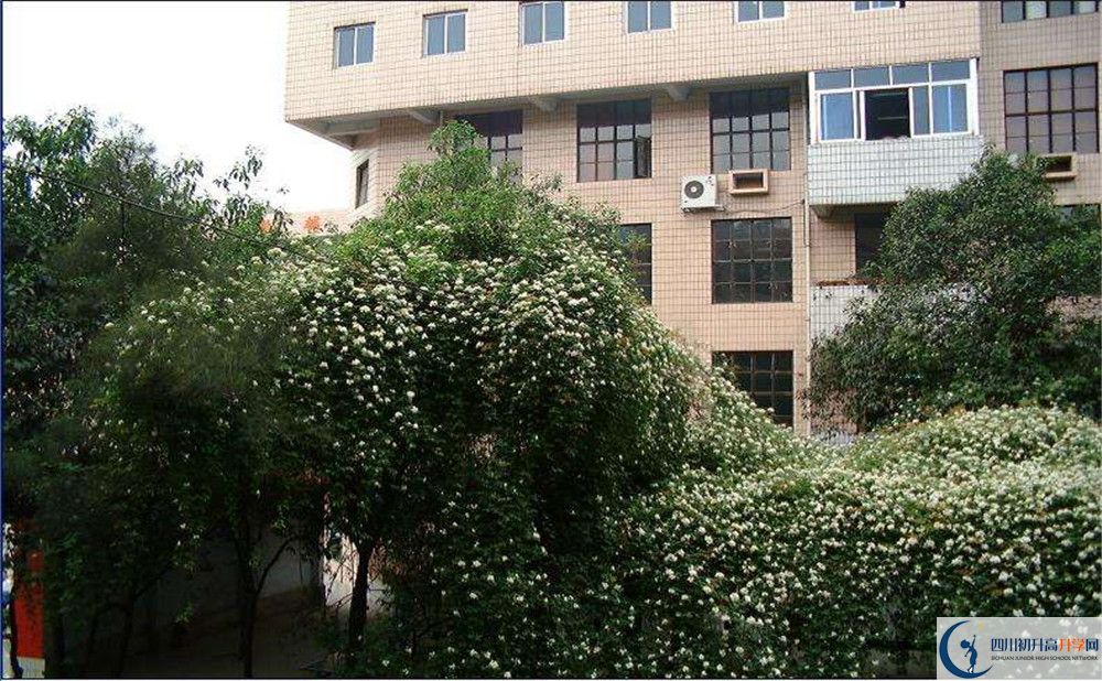 石室聯(lián)合中學(xué)蜀華分校2020屆高三數(shù)學(xué)測試題在哪看？