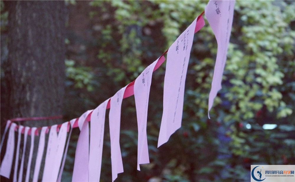 成都實(shí)驗(yàn)外國(guó)語(yǔ)學(xué)校（西區(qū)）平行班中考重點(diǎn)率是多少？