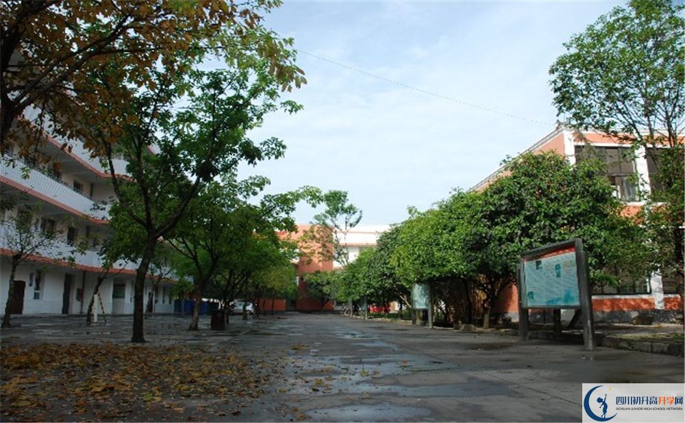 大邑中學(xué)平行班中考重點率是多少？