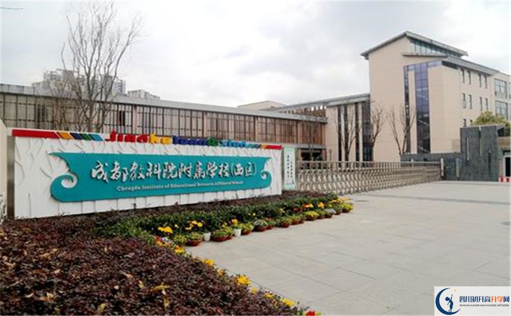 成都教科院附屬學(xué)校2020年高考人數(shù)是多少？