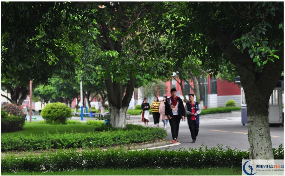 2020年巴中市中考分?jǐn)?shù)線什么時候能查到？