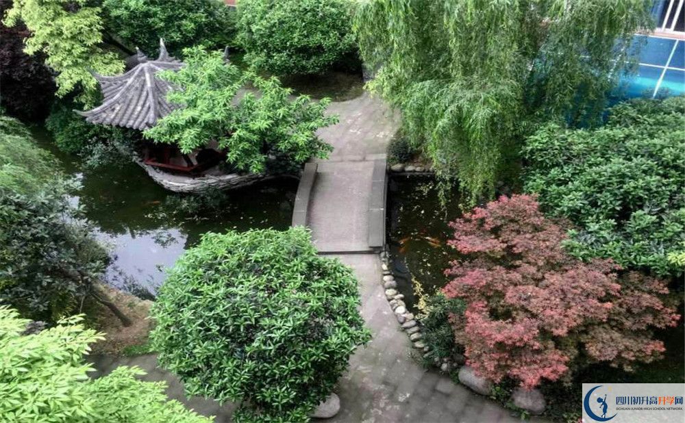 成都八中今年的錄取條件是否有變化？
