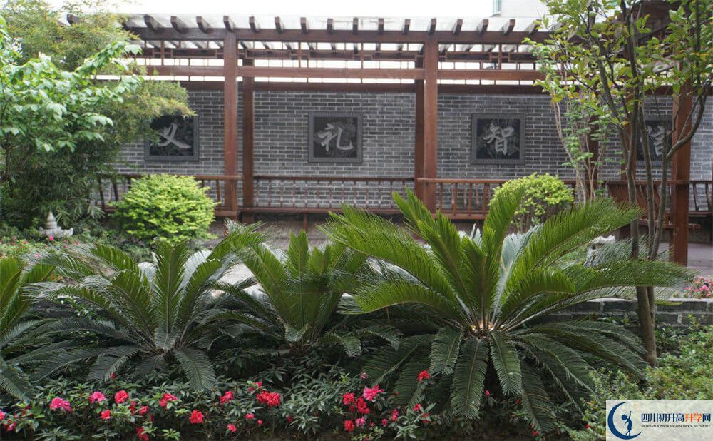 2020成都八中考自主招生條件是什么，有何變化？