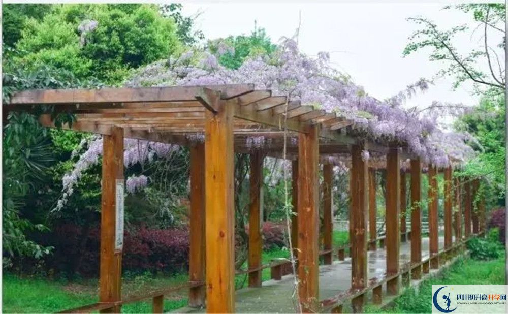 廣安花橋中學(xué)高三診斷考試時(shí)間怎么安排？