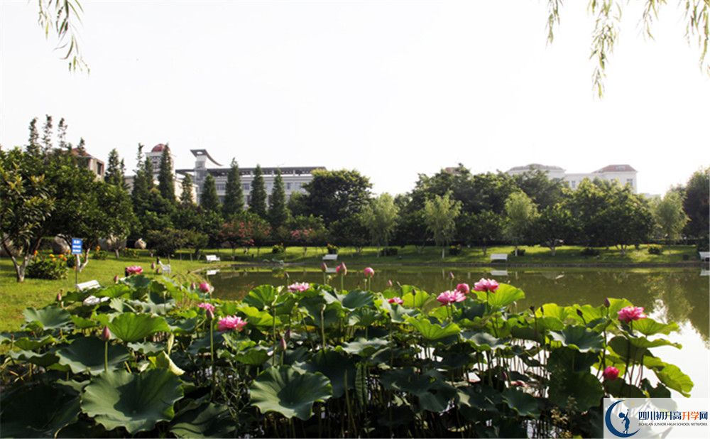 2020鄰水縣九龍中學初升高錄取分數(shù)線是否有調(diào)整？
