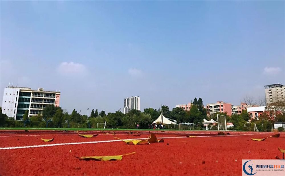 成都青苗國際雙語學校2020年地址在哪？