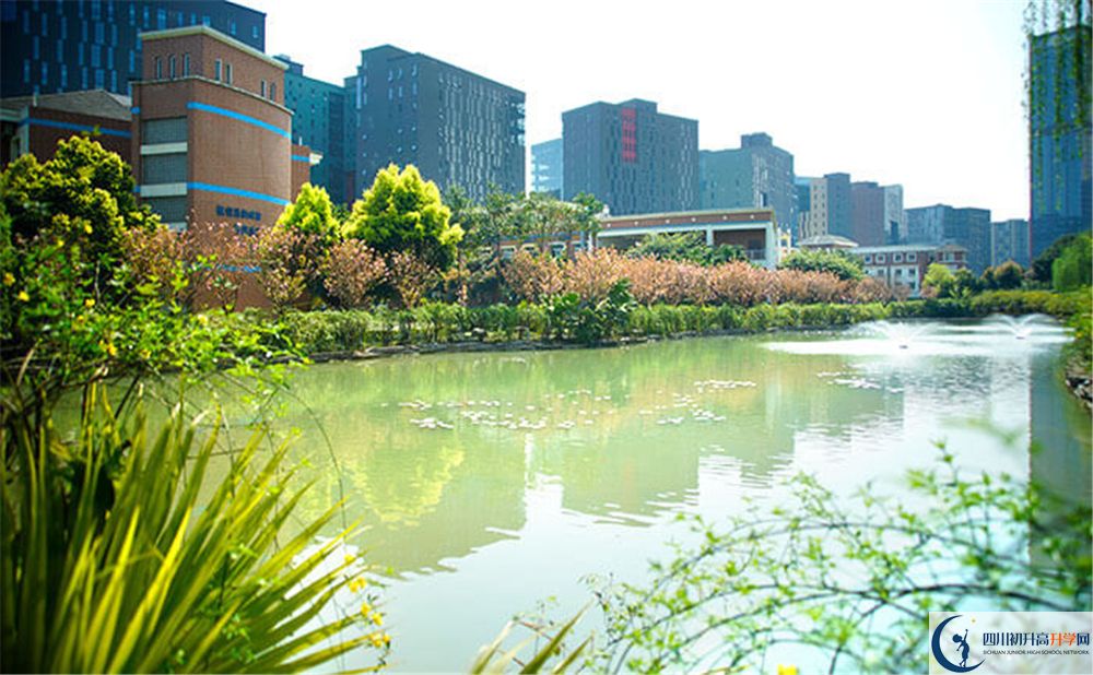 成都美視國際2020年怎么報名？