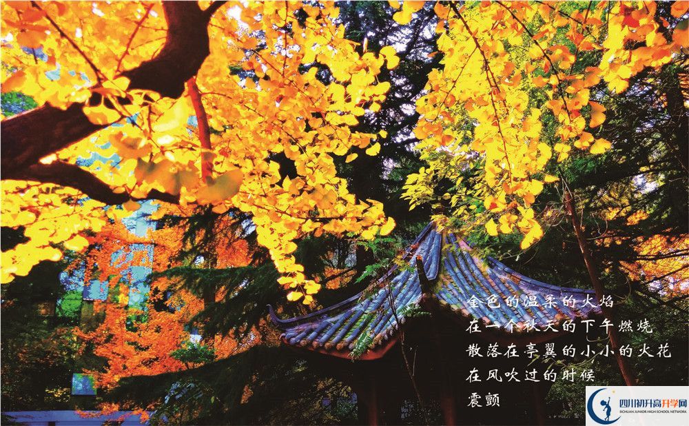 七中高新2020年學(xué)費是多少錢？