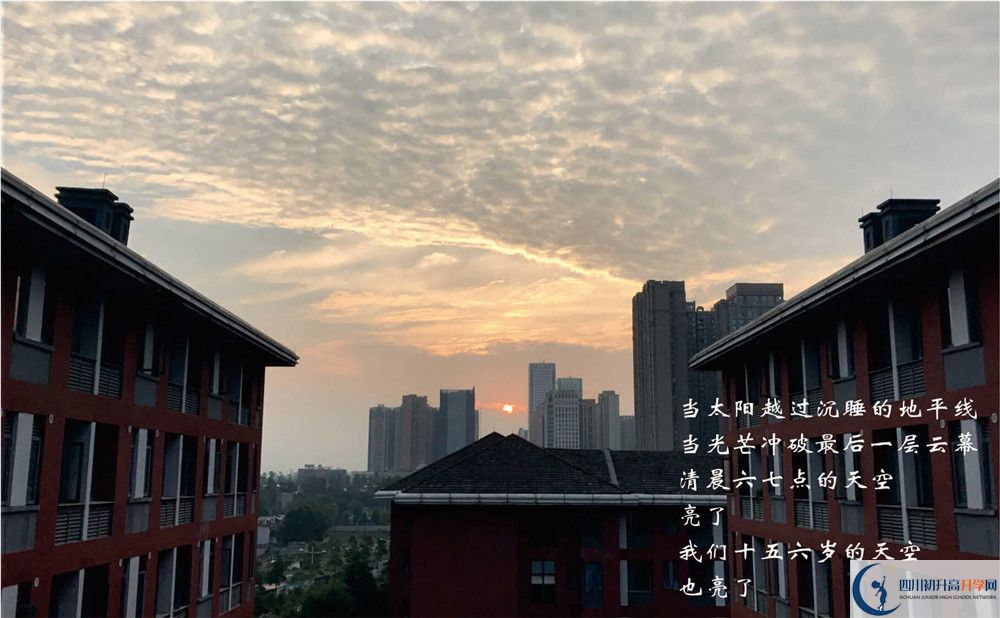 七中高新校區(qū)2020年招生簡章是什么？
