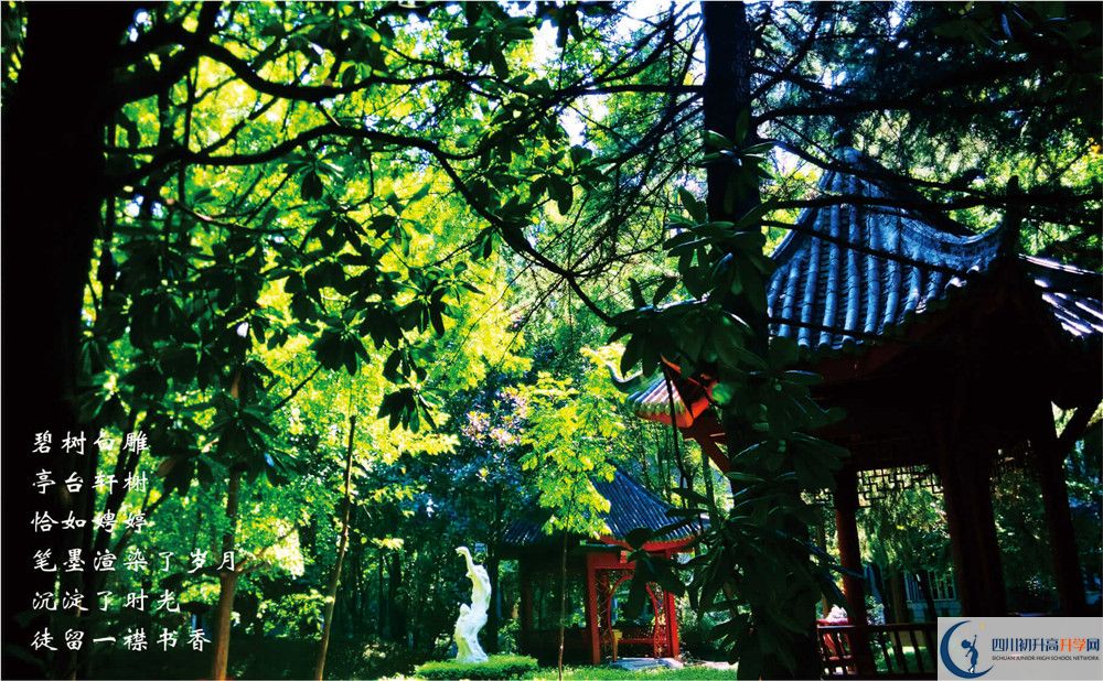 七中高新校區(qū)2020年招生條件是什么？