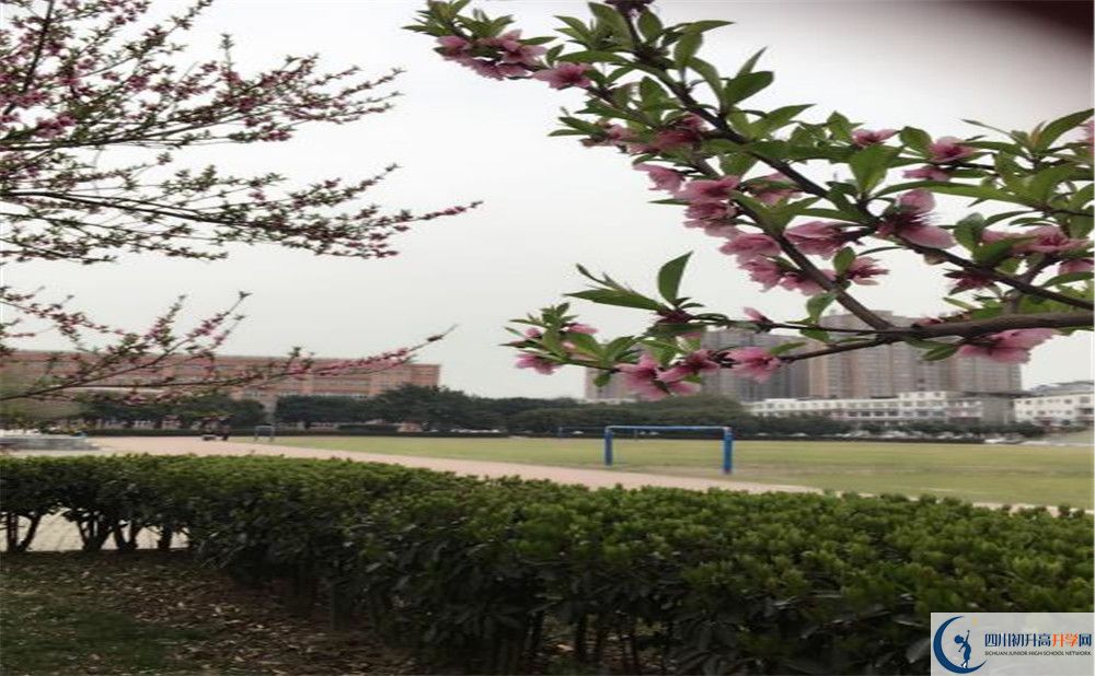 2020年樹德博瑞實驗學校學費是多少？