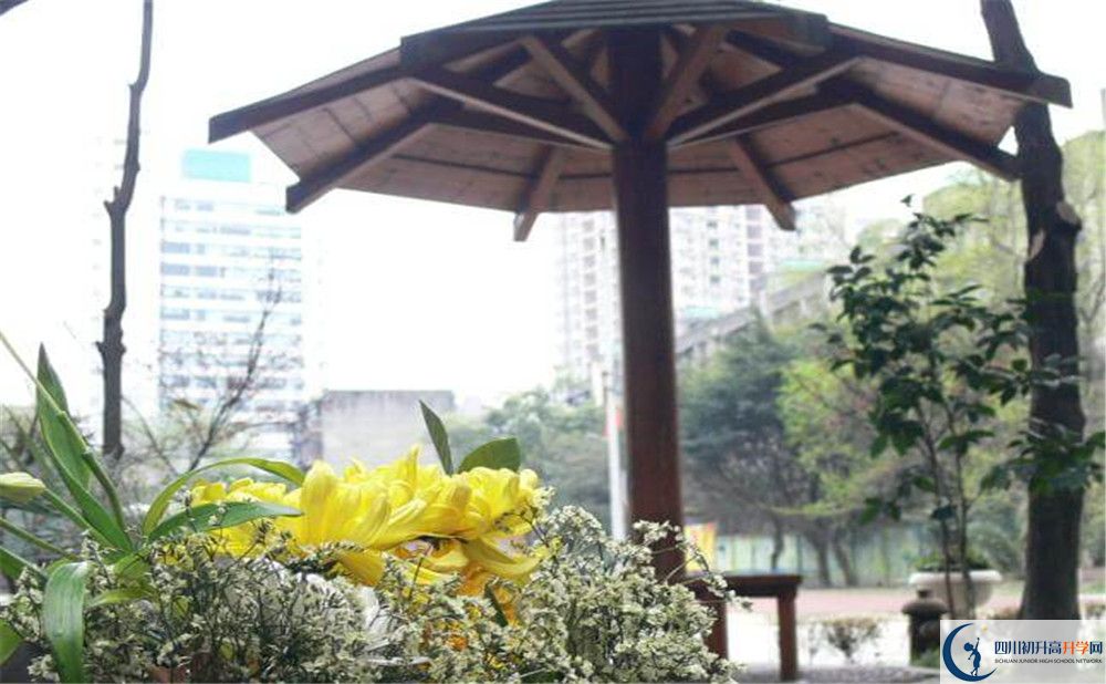 成都石室聯(lián)中蜀華分校2020年錄取分?jǐn)?shù)線是多少分？