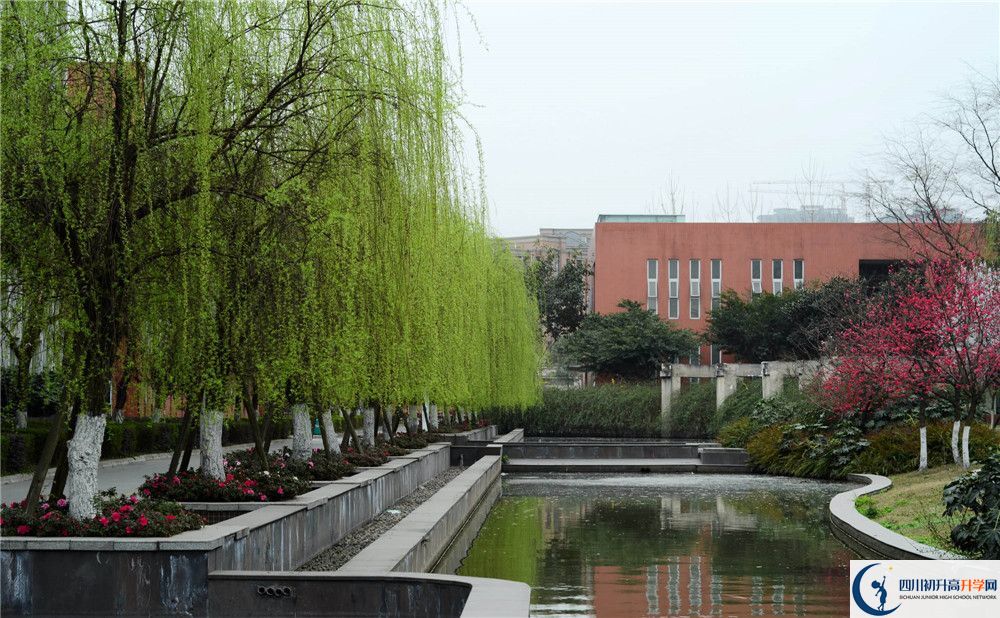 新都香城中學(xué)的哪個(gè)班2020年比較好？