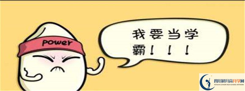 北二外成都附中2021清華北大錄取學生多少？